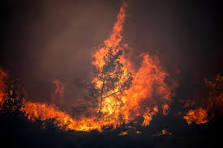 Incendies forestiers